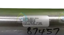 1.25DXPSR03.00 CYLINDER