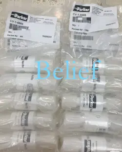 FAST DELIVERY DHL/-