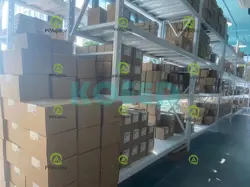 DHL/FED