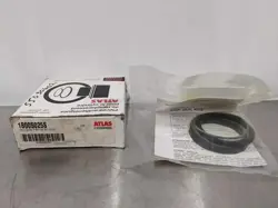 PISTON KIT