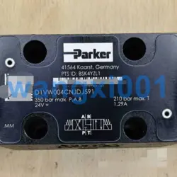 D1VW004CNJDJ591