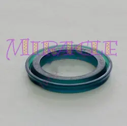 CYLINDER PISTON SEAL?