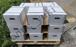 BRAND NEW F12-090-MF-IV-D-000-0000-P0