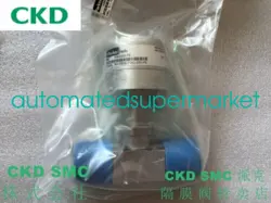 8V1-P8VE-11AO-SSV-PE DIAPHRAGM