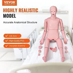 DEMONSTRATION HUMAN MANIKIN