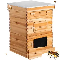 BOX KIT BEE