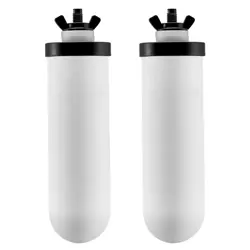 VEVOR PURIFICATION WATER FILTER REPLACEMENT FOR GRAVITY FILTER SYSTEM 2 PACK