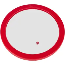 STAINLESS STEEL DEGASSING