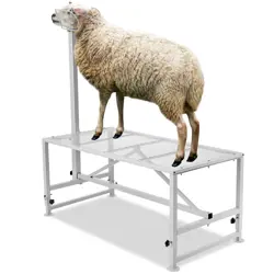 VEVOR LIVESTOCK STAND GOAT TRIMMING STAND 21