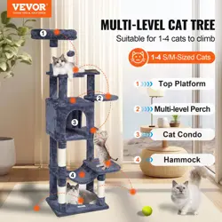WITH CAT CONDO