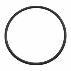 DAYTON PP21101525001G COVER O-RING 23AZ67