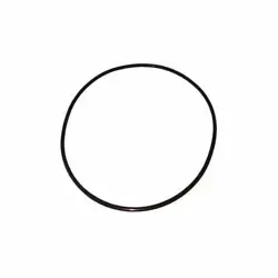 DAYTON PP21101530001G SS PUMP O-RING 23CC37