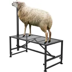 VEVOR LIVESTOCK STAND GOAT TRIMMING STAND 21