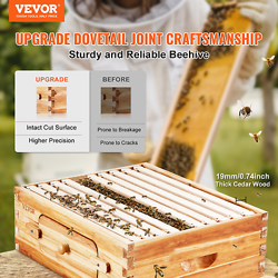 VEVOR BEE HIVE MEDIUM BOX STARTER KIT, 100% BEESWAX COATED NATURAL CEDAR WOOD, L