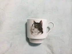PORCELAIN CAT