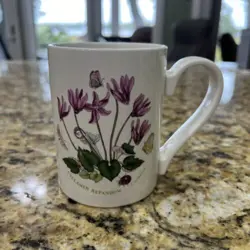 CYCLAMEN REPANDUM 10OZ