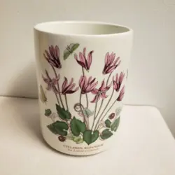 CYCLAMEN REPANDUM IVY
