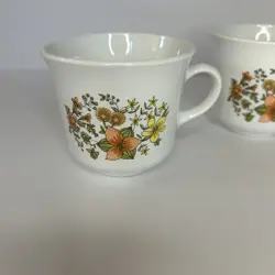 OF CORELLE BY