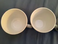 20 PC CORELLE