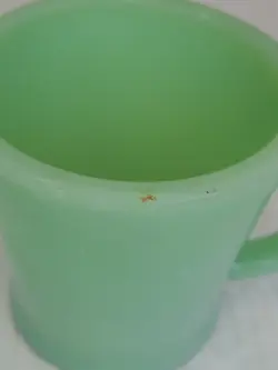 JADEITE COFFEE CUP