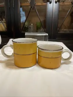 SUN CUPS