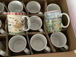 BOX NOS CUP