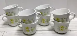 SET ~8