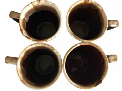 MUGS GREAT