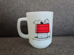 SNOOPY ALLERGIC