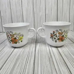 VTG 1970 CORELLE