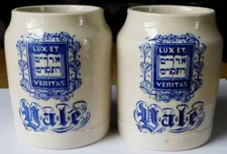 MUG STEINS COOPERATIVE
