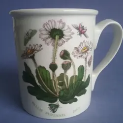 MUG BELLIS