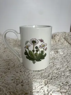 BELLIS PERENNIS DAISY