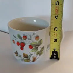 INFUSER