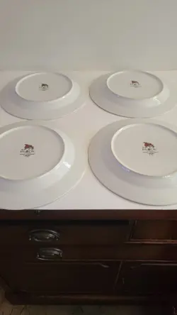 DINNER PLATES AND