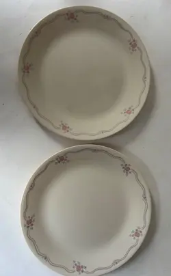 PLATE PINK