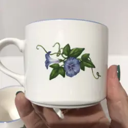 BLUE MORNING GLORY