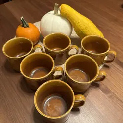COVENTRY CASTILIAN MUGS