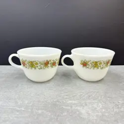 CUPS SPICE