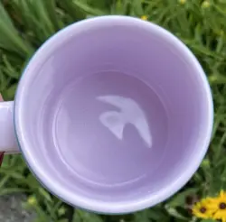 DINOSAUR
