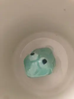 TN