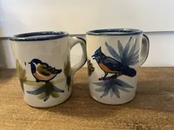CUP USA BLUEJAY