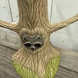 RACCOON