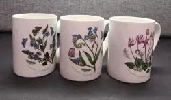 VINTAGE PORTMEIRION BOTANIC GARDEN SET OF THREE MUGS