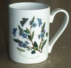 SPEEDWELL VINTAGE 1972