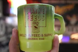 FEEDS