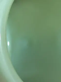 GREEN RESTAURANT