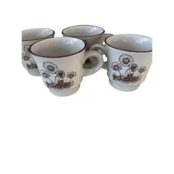 MUGS DESERT FLOWERS