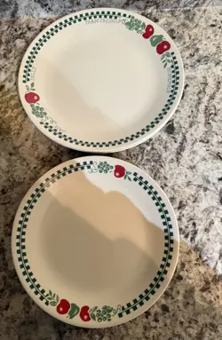 1/4 LUNCH PLATES