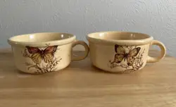BUTTERFLY SOUP